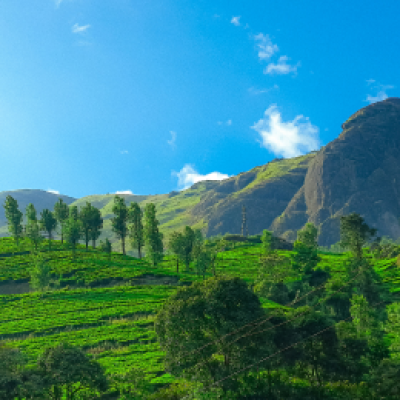 Munnar.