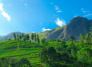 Munnar.
