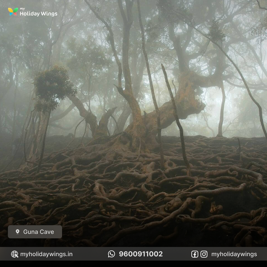 Guna Cave