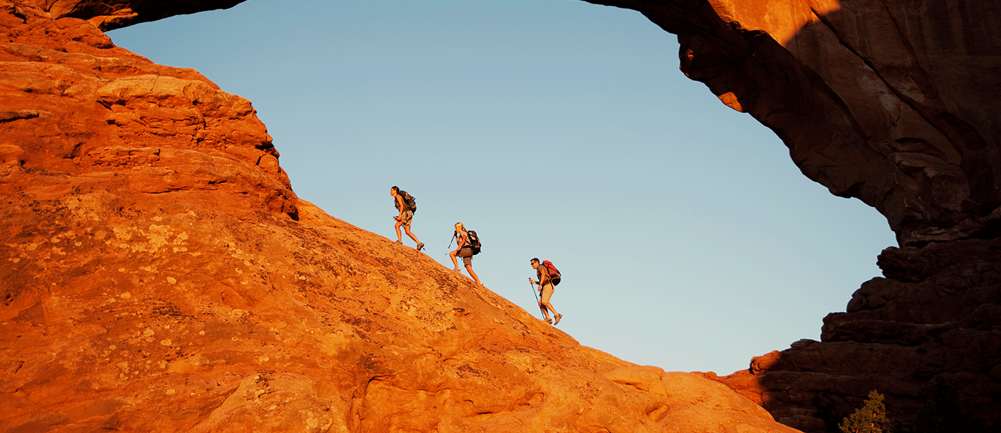 Kodaikanal City Tour ( Standard Full Day )