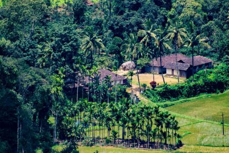 Kodaikanal City Tour(Full Day)